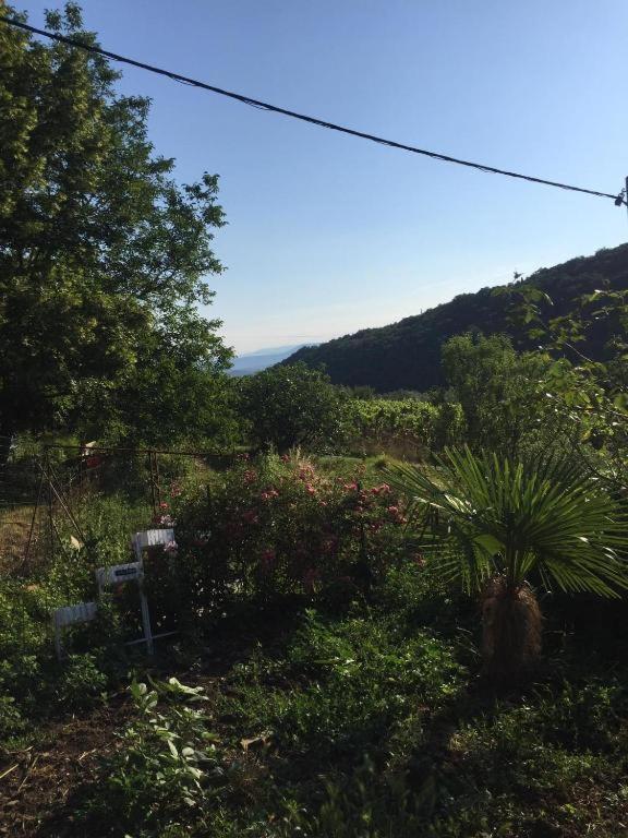 Apartment Dedo, Salara Farmhouse Koper városi község Kültér fotó