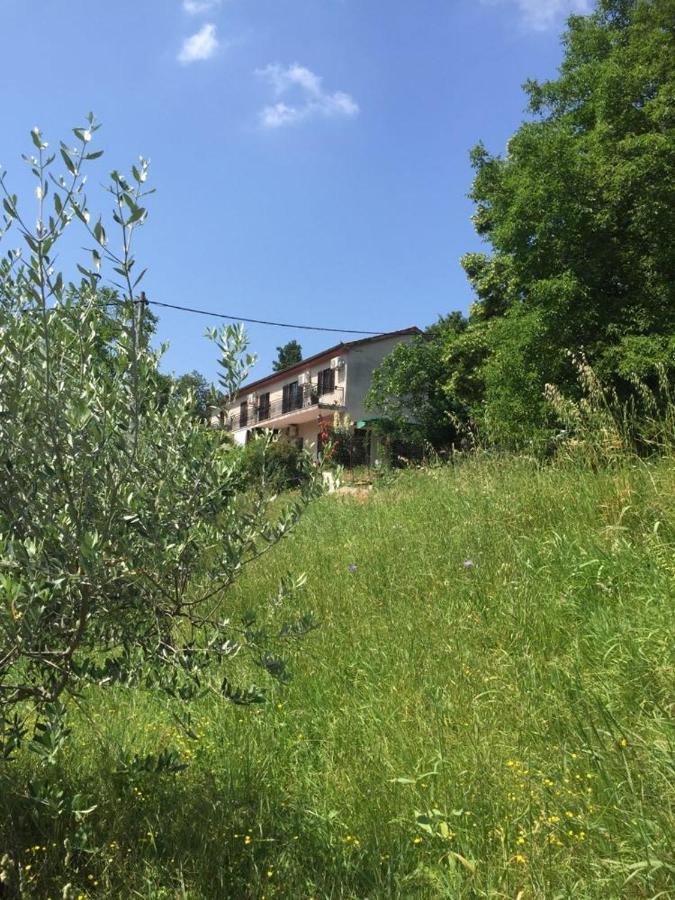 Apartment Dedo, Salara Farmhouse Koper városi község Kültér fotó