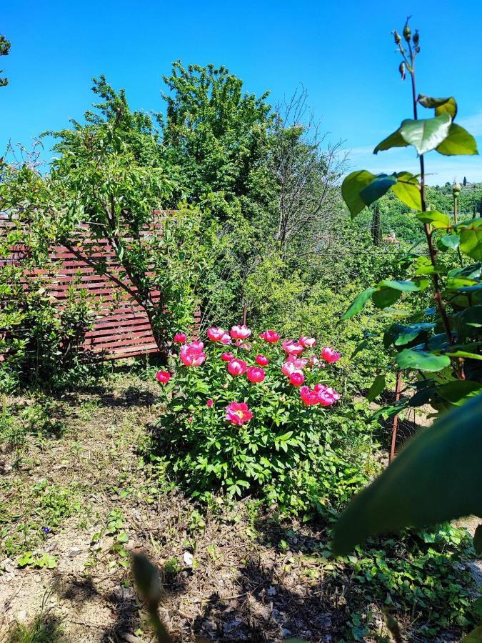 Apartment Dedo, Salara Farmhouse Koper városi község Kültér fotó